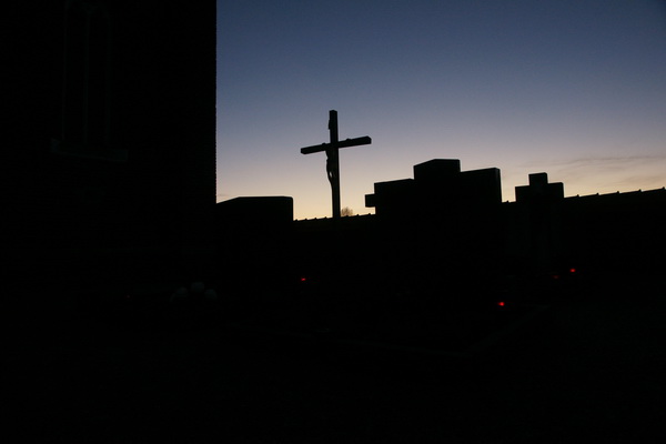 SONY DSC